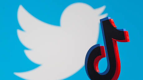 TikTok users flock to Twitter in distress after app goes down
