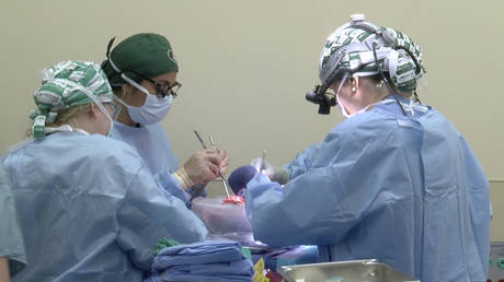 ‘Milestone’ surgery sees pig kidneys transplanted into human